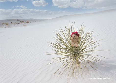 White Sands National Monument! - The Bill Beaver Project