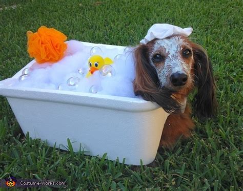 Bubble Bath Dog Costume | Unique DIY Costumes