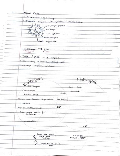 A level - Cell Structure & Fractionation | Teaching Resources