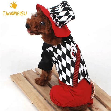 Halloween Magic Clothes For Magician Pet Costume Clothes Dog Jumpsuits ...