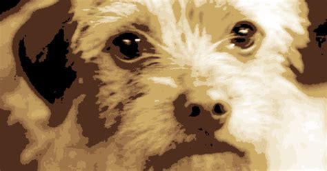 Archer - World's Best Dog - HueForge by Robert John Churchill | Download free STL model ...