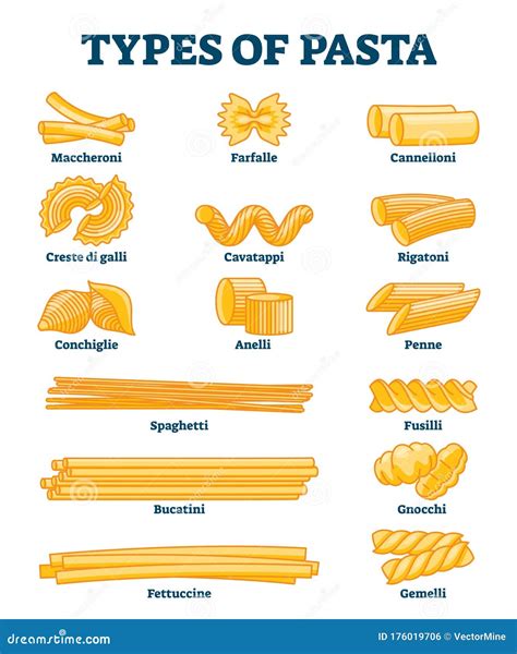 Pasta Shapes Vector Illustration | CartoonDealer.com #24400040