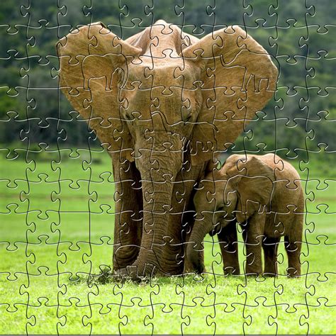 Elephants Wooden Jigsaw Puzzle - Sawbridge Studios