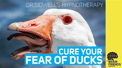 FEAR OF DUCKS PHOBIA | Hypnosis - YouTube