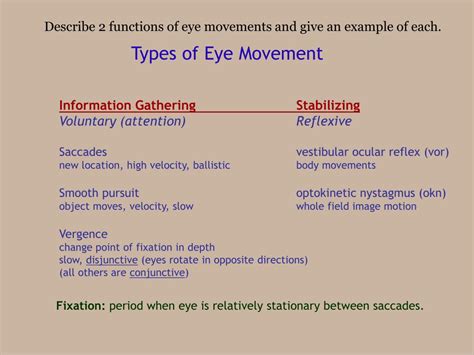 PPT - Types of Eye Movement PowerPoint Presentation, free download - ID ...