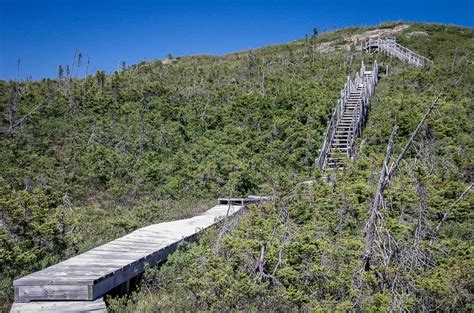 Hiking Newfoundland - Five Great Hiking Trails - Must Do Canada