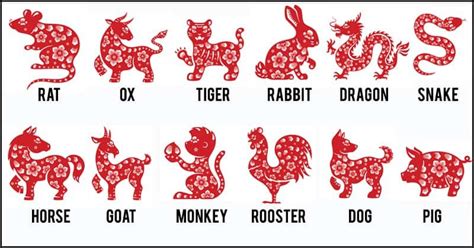 The Chinese Zodiac: The Significance of Each Chinese Year - Mythologian