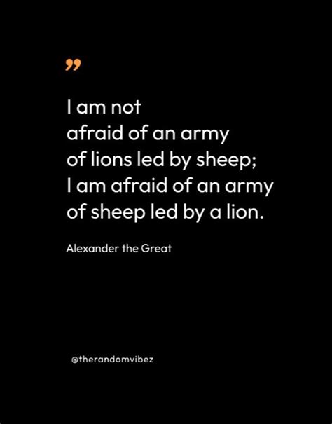 50 Alexander The Great Quotes To Inspire You – The Random Vibez