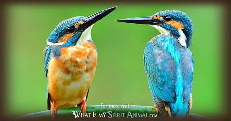 Kingfisher Symbolism & Meaning | Spirit, Totem & Power Animal