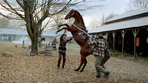 Seabiscuit (2003) - About the Movie | Amblin