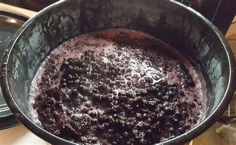 Saskatoon Berry Wine - 23 Liter Batch