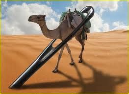 The Camel, the Needle Head, and the Rich Man: What Christians Really ...