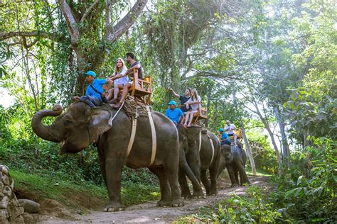 Bali Zoo - Bali Elephant Safari Ride – Bali Star Island Offers Bali Tours - Bali Tour Packages ...