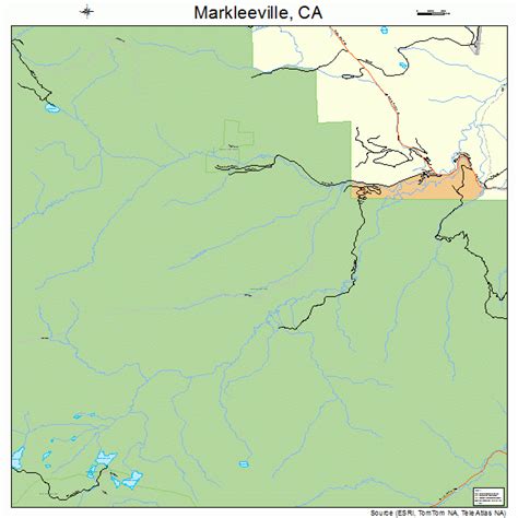 Markleeville California Street Map 0645988