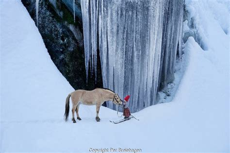 THE CHRISTMAS WISH, A PHOTOGRAPHIC FAIRY TALE BY LORI EVERT AND PER BREIEHAGEN | The Christmas ...