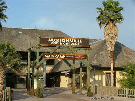 Jacksonville Zoo Ticket Giveaway - Lee & Cates Glass