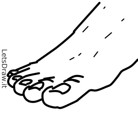 How to draw toe / jks8k18fn.png / LetsDrawIt