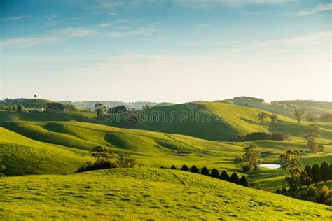 Rural Australia landscape stock image. Image of nature - 46196293