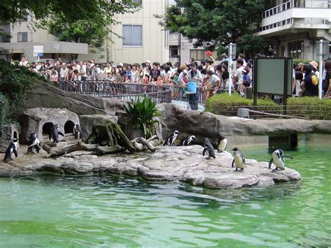 Ueno Zoological Park | Next Stop, Japan