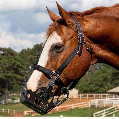 Horse and Pony Grazing Muzzles - Adams Horse Supplies