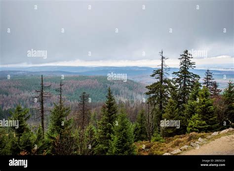 Harz national park hi-res stock photography and images - Alamy