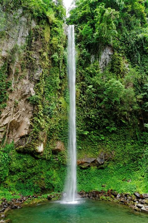 Waterfall In The Jungles (Camiguin Island, Philippines) Stock Images ...