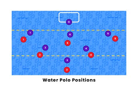 Water Polo Player Positions