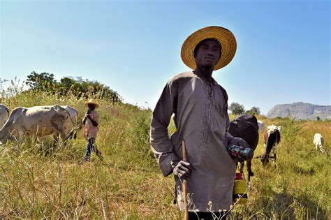 The longshot bid to end rampant banditry in Nigeria’s northwest - The ...