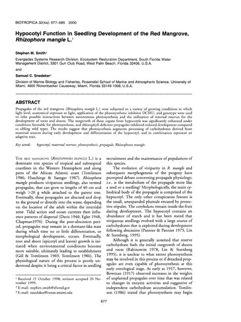 (PDF) Hypocotyl Function in Seedling Development of the Red Mangrove ...