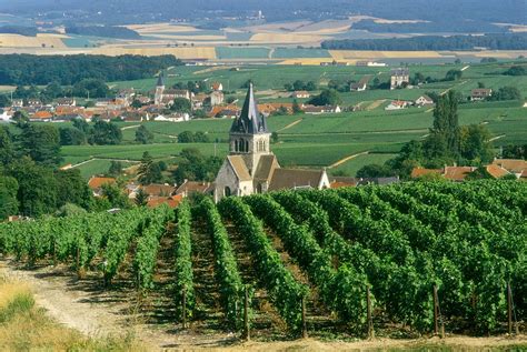 Champagne Day Tour (Epernay) from £186pp – Wine Tasting France