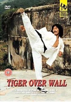 Pin by Futoshi Koyanagi on HONG KONG | Kung fu martial arts, Martial arts actor, Martial arts film