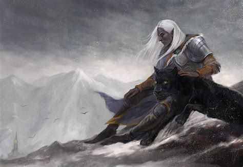 Drizzt Do Urden Wallpaper - WallpaperSafari