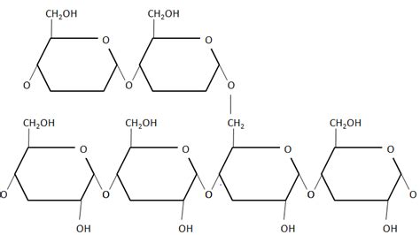 Glycogen is:A) A polymer of \\[\\beta - D - glucose\\] unitsB) A structural disaccharideC ...