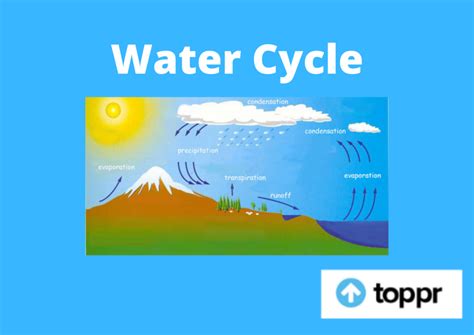 Sublimation Diagram Water Cycle