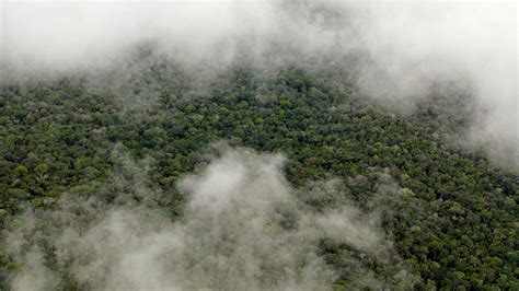 New study shows the Amazon makes its own rainy season – Climate Change ...