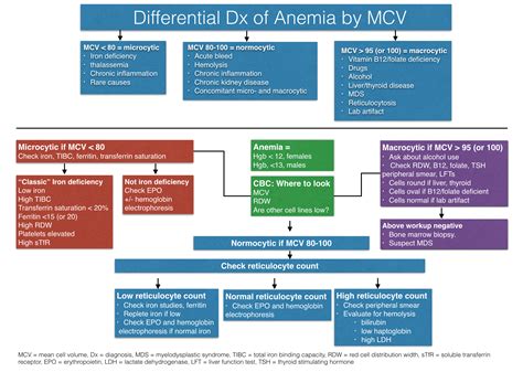 #52: Anemia: Tips and tools for diagnosis and treatment - The Curbsiders