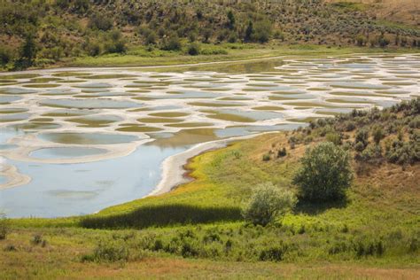 Spotted Lake, Canada | Top Travel Destinations to Put on Your Bucket ...