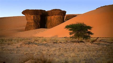 chad landscape africa - Google Search | Landscape