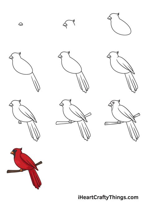 How To Draw A Cardinal Bird Really Easy Drawing Tutorial – NBKomputer