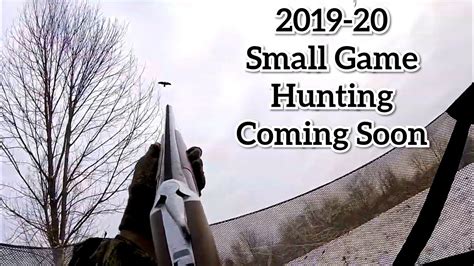 NY Small Game Hunting Season 2019-2020 Coming Soon - YouTube