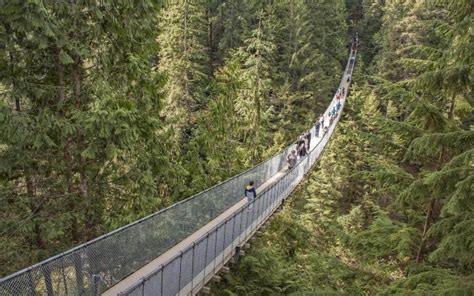 Capilano Suspension Bridge Park Visit Guide (2024) - Vancouver Planner