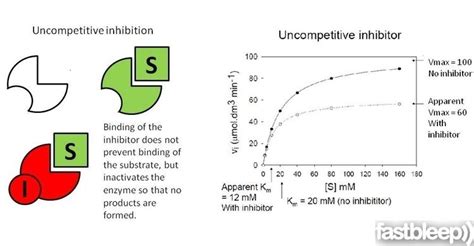 Uncompetitive inhibitor - Alchetron, the free social encyclopedia