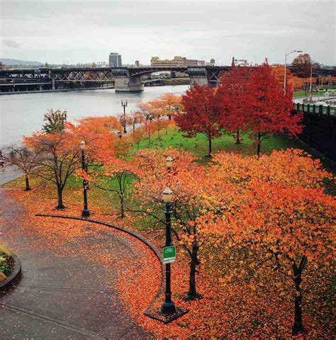 Waterfront Park Portland OR | My Home Town - Portland Oregon | Pinterest | Portland, Beautiful ...