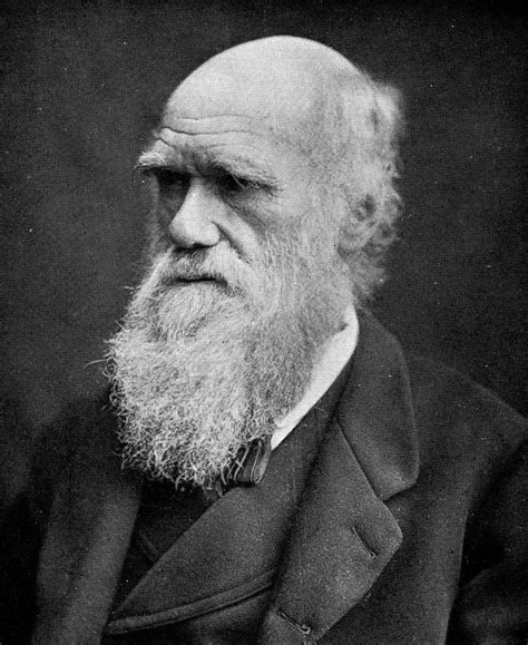 Biography of Evolution Scientist Charles Darwin