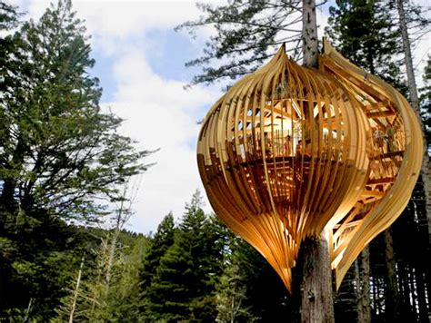 New Zealand's Whimsical Yellow Treehouse Restaurant Towers Above The ...