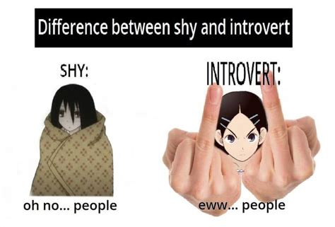 Difference Between Shy and Introvert | Know Your Meme