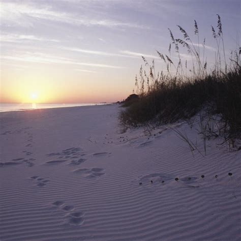 Beaches Near Niceville, Florida | USA Today