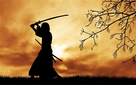 samurai, Japanese clothes, Katana, Silhouette, Trees, Branch, Grass, Clouds, Sun, Digital art ...