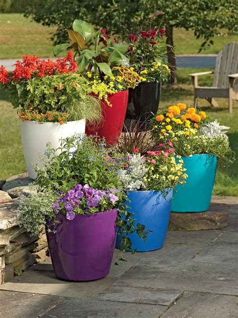 10 Easy and Cheap Colorful Container Garden ideas you can go wrong - Talkdecor