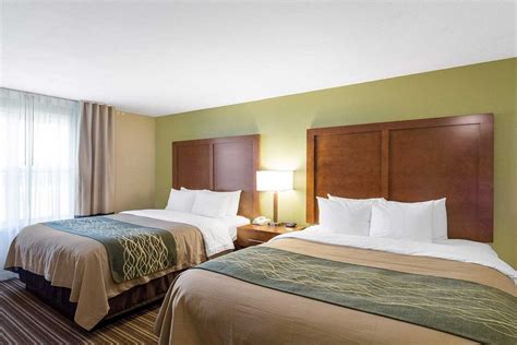 Fayetteville AR Hotel Photo Gallery | Comfort Inn & Suites Fayetteville